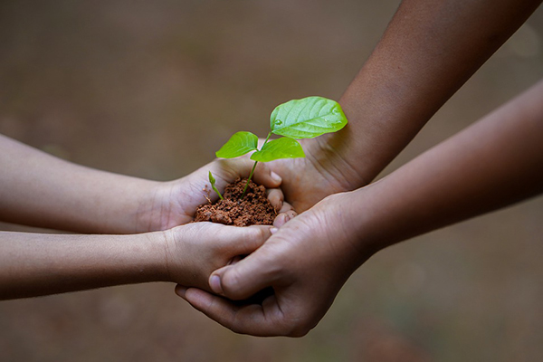 child's hand placing seedling plant in another child's hands.