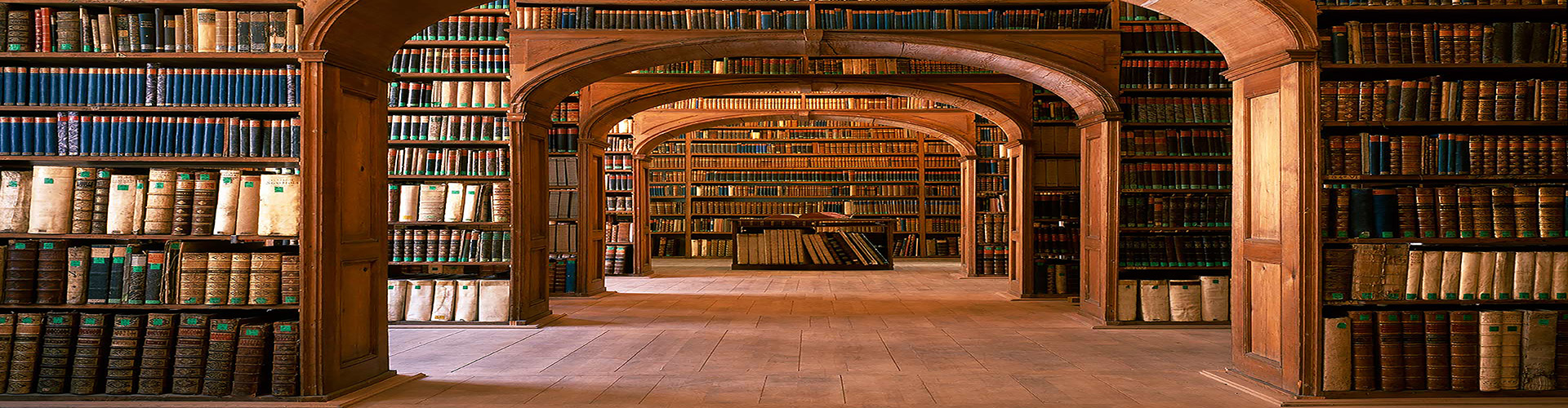 A Library Image showing rows of books