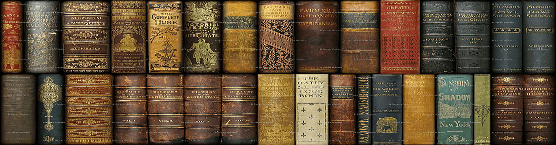 A row of Books Image
